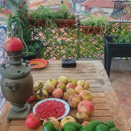 Casa vacanze Le Coeur De La Vieille *