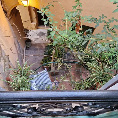 Hébergement de vacances Le Cœur De La Vieille *