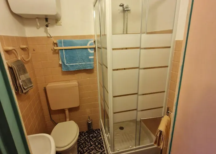 Le Coeur De La Vieille *